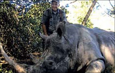 wta_952_CBAY98_soaf_nit_rhino_5pu