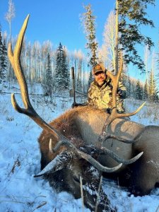 Wyoming Elk Southern Nonresident Region