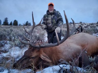 Wyoming Elk Southern Nonresident Region