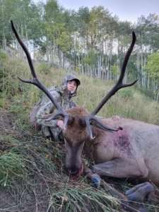 Wyoming Elk Southern Nonresident Region