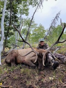 Wyoming Elk Southern Nonresident Region