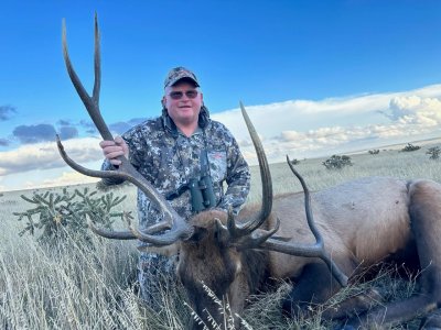wta_972_2023 Elk #4
