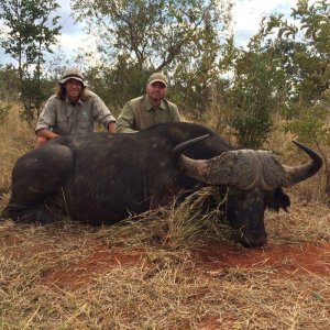 wta_977_JB0UDA_capebuffaloryan