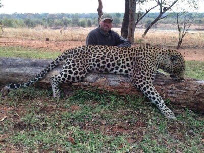 wta_977__featured_KZMO3C_leopardhuntingryan