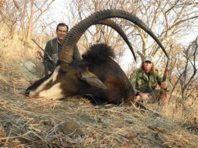 wta_982_UW5TLF_Zim2010013