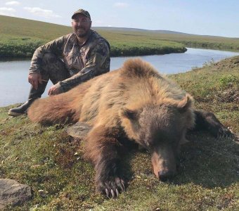 wta_988_SBVUKU_grizzly.jpg
