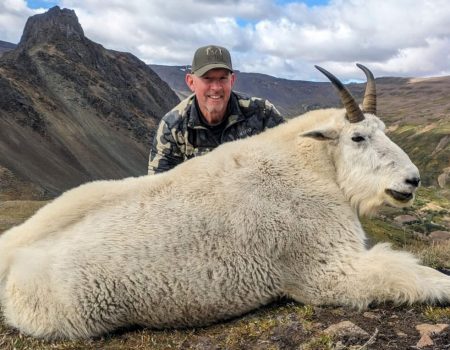 wtar-0010-mountain-goat-bc